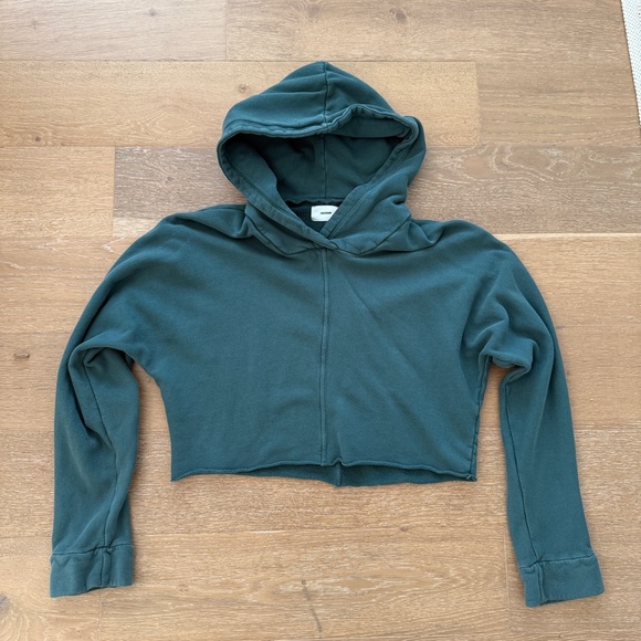 Joah Brown Cropped Hoodie - Picture 1 of 3